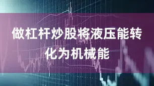 做杠杆炒股将液压能转化为机械能
